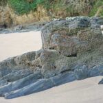 Morski kamen kao prirodni materijal s dugom tradicijom morski kamen